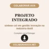 Projeto Integrado de síntese cst em gestão inovação na indústria têxtil pronto para entregar