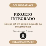 Projeto integrado síntese cst em gestão inovação na indústria têxtil