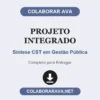 Projeto Integrado de Síntese CST em Gestão Pública pronto para entregar