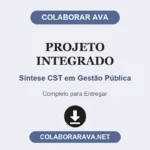 Projeto Integrado Síntese CST em Gestão Pública