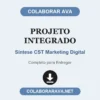 Projeto Integrado de Síntese CST Marketing Digital pronto para entregar