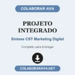 Projeto Integrado Síntese CST Marketing Digital
