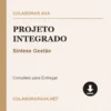 Projeto Integrado de Síntese Gestão pronto para download