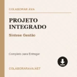 Portfólio Projeto Integrado Síntese Gestão