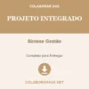 Projeto Integrado de Síntese Gestão pronto para download