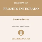 Portfólio Individual Projeto Integrado Síntese Gestão