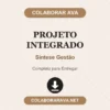 Projeto Integrado de Síntese Gestão pronto para download