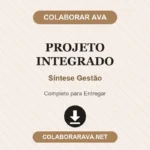 Portfólio Individual Projeto Integrado Síntese Gestão