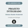 Projeto Integrado de Síntese Gestão Ambiental pronto para entregar