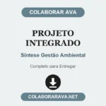Projeto Integrado Síntese Gestão Ambiental