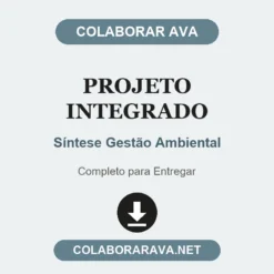 Projeto Integrado de Síntese Gestão Ambiental pronto para entregar