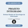 Projeto Integrado de Síntese Gestão da Tecnologia da Informação pronto para entregar