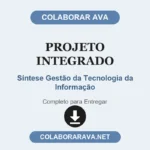 Projeto Integrado Síntese Gestão da Tecnologia da Informação