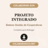 Projeto Integrado de Síntese Gestão de Cooperativas pronto para entregar