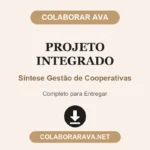 Projeto Integrado Síntese Gestão de Cooperativas