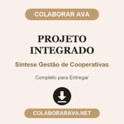 Projeto Integrado de Síntese Gestão de Cooperativas pronto para entregar