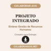 Projeto Integrado de Síntese Gestão de Recursos Humanos pronto para entregar