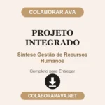 Projeto Integrado Síntese Gestão de Recursos Humanos