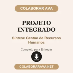 Projeto Integrado de Síntese Gestão de Recursos Humanos pronto para entregar
