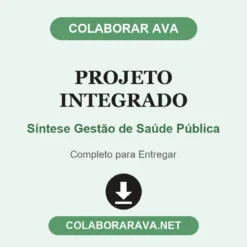 Projeto Integrado de Síntese Gestão de Saúde Pública pronto para entregar
