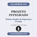 Projeto Integrado Síntese Gestão de Segurança Privada