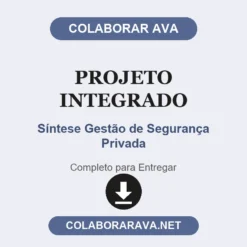 Projeto Integrado de Síntese Gestão de Segurança Privada pronto para entregar