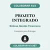 Projeto Integrado de Síntese Gestão Financeira pronto para entregar