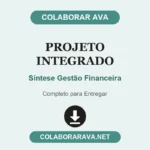 Projeto Integrado Síntese Gestão Financeira