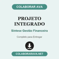Projeto Integrado de Síntese Gestão Financeira pronto para entregar