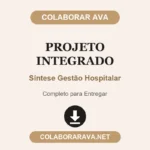 Projeto Integrado Síntese Gestão Hospitalar
