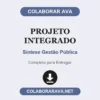 Projeto Integrado de Síntese Gestão Pública pronto para entregar