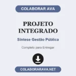 Projeto Integrado Síntese Gestão Pública