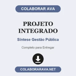 Projeto Integrado de Síntese Gestão Pública pronto para entregar