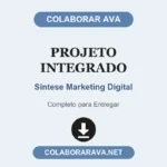 Projeto Integrado Síntese Marketing Digital