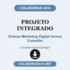 Projeto Integrado de Síntese Marketing Digital Innova Conselho pronto para entregar