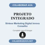 Projeto Integrado Síntese Marketing Digital Innova Conselho