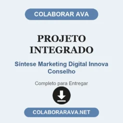 Projeto Integrado de Síntese Marketing Digital Innova Conselho pronto para entregar
