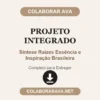 Projeto Integrado de Síntese Raízes Essência e Inspiração Brasileira pronto para entregar