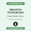 Projeto Integrado de Síntese Saúde Pública pronto para entregar
