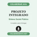 Projeto integrado Síntese Saúde Pública