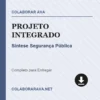 Projeto Integrado de Síntese Segurança Pública pronto para download