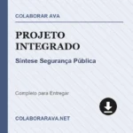 Portfólio Individual Projeto Integrado Síntese Segurança Pública