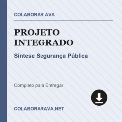 Projeto Integrado de Síntese Segurança Pública pronto para download