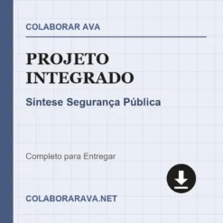 Projeto Integrado de Síntese Segurança Pública pronto para download
