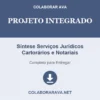 Projeto Integrado de Síntese Serviços Jurídicos Cartorários e Notariais pronto para download