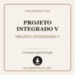 PROJETO INTEGRADO V