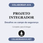 Projeto Integrador Desafios ao campo da segurança