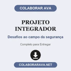 Projeto Integrador de Desafios ao campo da segurança pronto para entregar