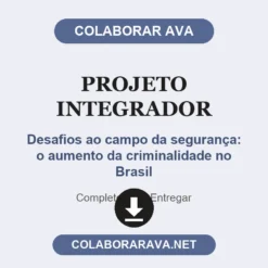 Projeto Integrador de Desafios ao campo da segurança: o aumento da criminalidade no Brasil pronto para entregar