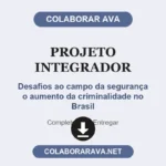 Projeto Integrador Desafios ao campo da segurança o aumento da criminalidade no Brasil